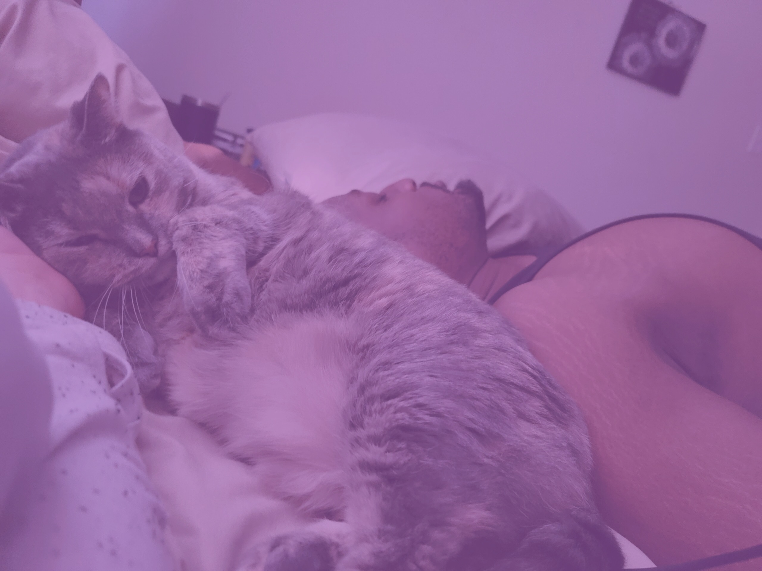 Lorem ipsum dolor sit amet,  elit. incididunt ut labore